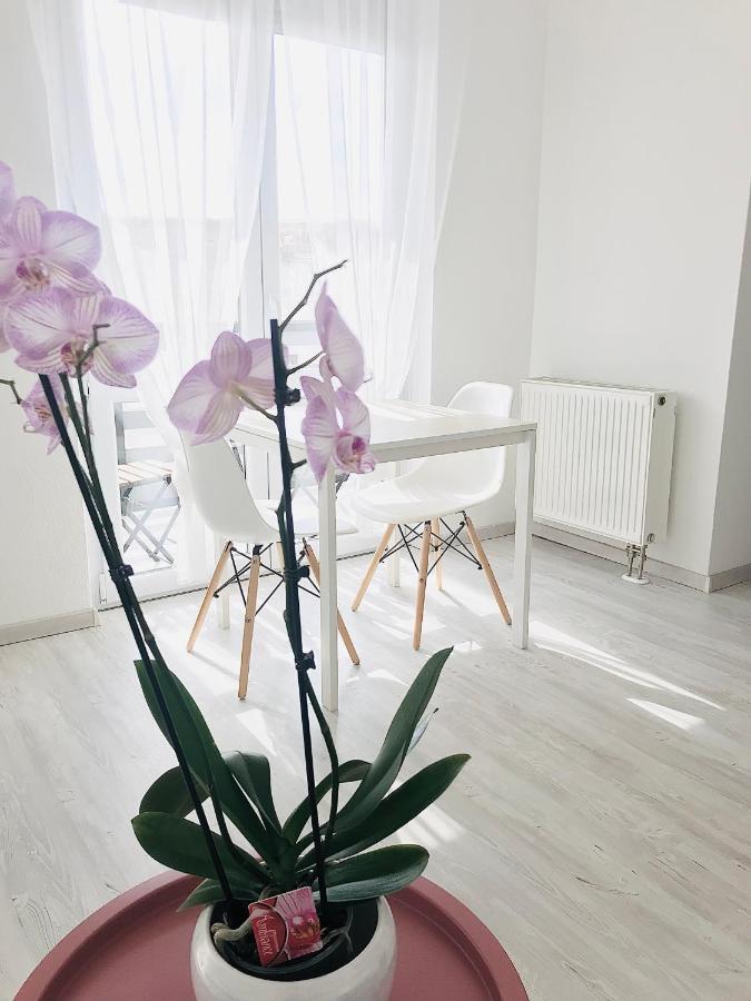 Belvarosi Studio Apartman Kecskemét Exteriör bild